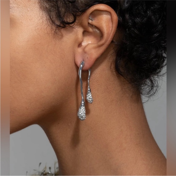 ALEXIS BITTAR • Solanales Crystal Front Back Double Drop Earrings - Silver - Picture 2 of 14